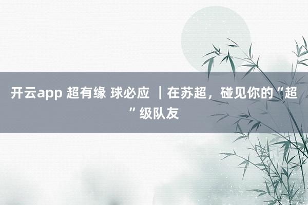 开云app 超有缘 球必应 ｜在苏超，<a href=