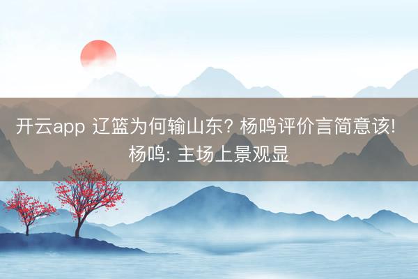 开云app 辽篮为何输山东? 杨鸣评价言简意该! 杨鸣: 主场上景观显